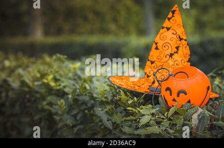 Die Symbole Halloween. Hexenhut und Kürbis auf Waldhintergrund. Hexensachen Stockfoto