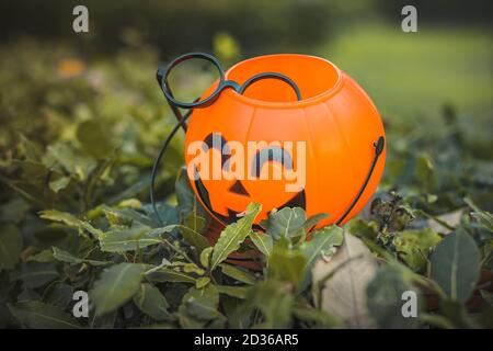 Die Symbole Halloween. Orange Kürbis auf Wald Hintergrund . Hexensachen Stockfoto