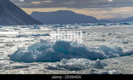 Eisberge, die in der Labradorsee, im Nuuk Fjord, in Sermersooq, Grönland schwimmen Stockfoto