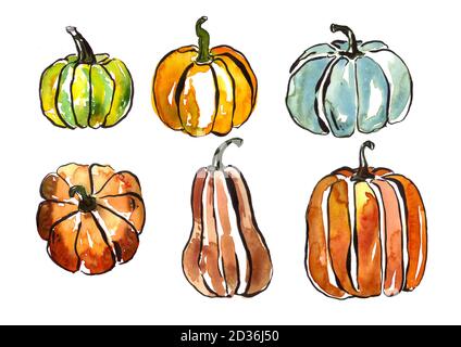 Aquarell handgezeichnet Kürbis-Set, Herbst Erntezeit oder Thanksgiving Cliparts, Sammlung von Gemüse isoliert auf weißem Hintergrund. Stockfoto