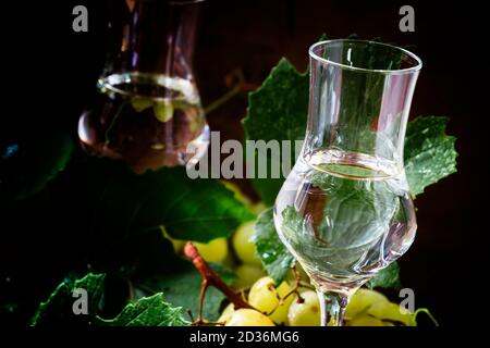 Traditioneller italienischer Wodka, Stillleben im rustikalen Stil, dunkler Holzhintergrund, selektiver Fokus Stockfoto