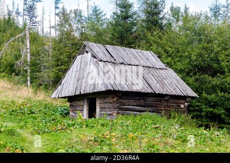 Traditionelle polnische Hochländer Stil hölzerne Schäferhütte auf einer Lichtung, unter Kiefern im Koscieliska Tal in Tatra Gebirge, Polen Stockfoto