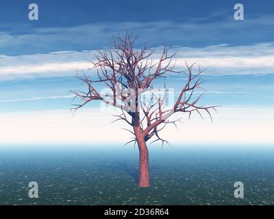 Bäume mit üppiger Vegetation Stockfoto