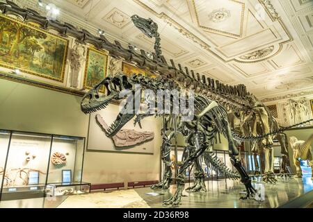 Dinosaurier Skelett im Sauriersaal des Naturhistorischen Museum Wien, Österreich, riEuropa, Natural History Museum, Wien, aus Stockfoto