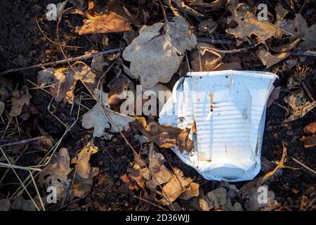 Weißer zerdrückter Plastikbecher auf dem Boden zwischen trockenen braunen Blättern. Konzept der Umweltverschmutzung. Draufsicht Stockfoto