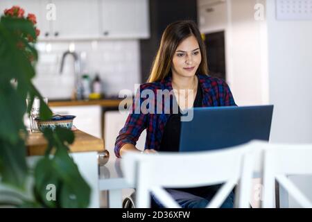 Junge Frau im Rollstuhl mit Laptop zu Hause Stockfoto