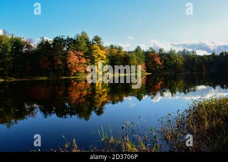 Lebendige Bäume spiegeln sich in ruhigen Fluss. Stockfoto