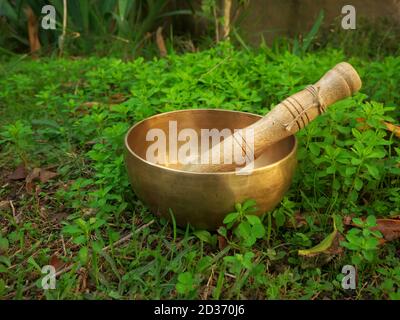 Singende Schüssel in das Gras während der Herbstsaison gelegt Stockfoto