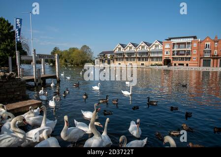 Eton, Buckinghamshire, England, Großbritannien. 2020. Die Themse und moderne Gebäude säumen die Uferpromenade und blicken auf die Themse, die von Windsor aus betrachtet wird Stockfoto