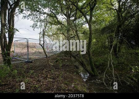 Calvert, Großbritannien. Oktober 2020. Ein Gebiet von Calvert Jubilee Naturschutzgebiet von Bäumen und Vegetation von Auftragnehmern im Auftrag der HS2 Ltd gerodet HS2 Ltd beschlagnahmte Besitz der östlichen Seite des Naturschutzgebietes, Das vom Berks, Bucks und Oxon Wildlife Trust (BBOWT) gepflegt wird und Heimat von Bittern, Zuchtseeschwalben und einigen der UKÕs seltensten Schmetterlinge ist, wird am 22. September durchgeführt, um Abfertigungsarbeiten im Zusammenhang mit der Hochgeschwindigkeitsstrecke HS2 durchzuführen. Kredit: Mark Kerrison/Alamy Live Nachrichten Stockfoto