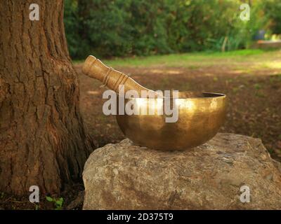 Singende Schüssel auf einem Felsen neben einem Baum platziert Kofferraum Stockfoto