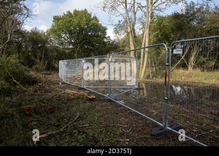 Calvert, Großbritannien. Oktober 2020. Ein Gebiet von Calvert Jubilee Naturschutzgebiet von Bäumen und Vegetation von Auftragnehmern im Auftrag der HS2 Ltd gerodet HS2 Ltd beschlagnahmte Besitz der östlichen Seite des Naturschutzgebietes, Das vom Berks, Bucks und Oxon Wildlife Trust (BBOWT) gepflegt wird und Heimat von Bittern, Zuchtseeschwalben und einigen der UKÕs seltensten Schmetterlinge ist, wird am 22. September durchgeführt, um Abfertigungsarbeiten im Zusammenhang mit der Hochgeschwindigkeitsstrecke HS2 durchzuführen. Kredit: Mark Kerrison/Alamy Live Nachrichten Stockfoto