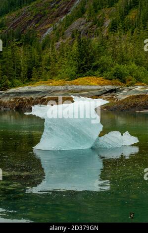 Kleiner Eisberg bei Fords Terror, Endicott Arm, Tongass National Forest, Alaska, USA. Stockfoto