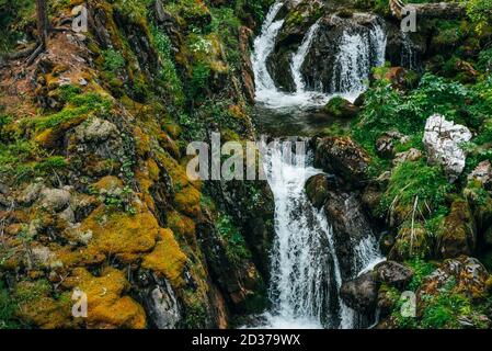 Landschaftlich reizvolle Landschaft mit schönen Wasserfall im Wald inmitten üppiger Vegetation. Klares Quellwasser fließt vom Berghang. Atmosphärische holzige Landschaft mit Stockfoto