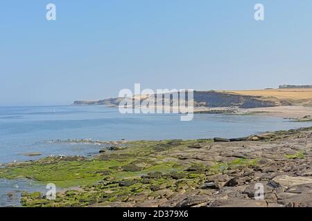 Felsküste und Klippen der französischen Opalküste entlang Nordsee Stockfoto