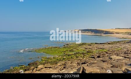 Felsküste und Klippen der französischen Opalküste entlang Nordsee Stockfoto