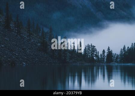 Silhouetten von spitzen Tannenspitzen am Hang entlang des Bergsees in dichtem Nebel. Spiegelung von Nadelbäumen in glänzendem, ruhigem Wasser. Alpine ruhige Länder Stockfoto