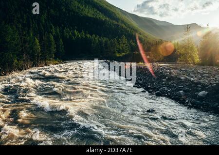 Schöner Blick auf den mächtigen Gebirgsfluss im goldenen Licht. Malerische Landschaft mit Bergfluss entlang Wald in Sonnenstrahlen. Malerische sonnige Landschaft wi Stockfoto