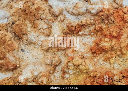 Naturhintergrund von geknackten trockenen Ländern. Natürliche Textur des Bodens mit Rissen. Zerbrochene Tonoberfläche von kargem Trockenland Ödland Nahaufnahme. Vollformat bis t Stockfoto