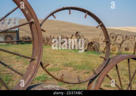 Waggon-Zaun in der Dahmen Art Scheune in Uniontown bei Pullman, Palouse, Eastern Washington, USA. Stockfoto