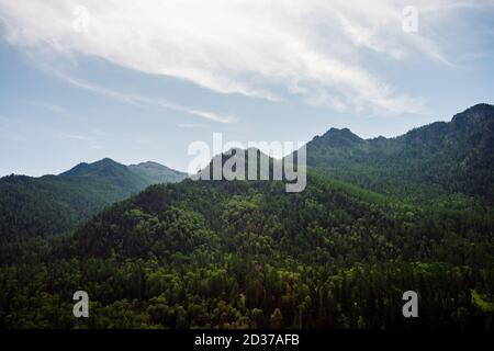 Grüne Hügelspitze unter klarem blauen Himmel. Lebendige grüne Berge komplett von Wald bedeckt an sonnigen Tagen. Wunderschöne malerische alpine Landschaft mit Wäldern hil Stockfoto