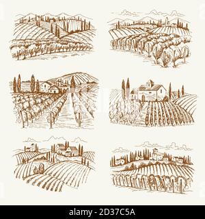 Weinberglandschaft. Frankreich oder italien vintage Dorf Wein Weinberge Vektor handgezeichnete Illustrationen Stock Vektor