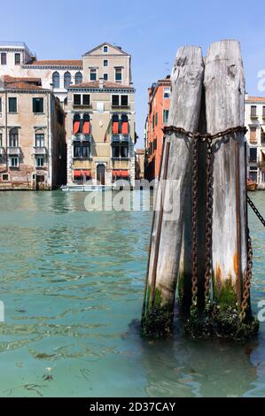 Venedig mit historischen Gebäuden im Hintergrund am Kanal. Vorne ein hölzerner Poller mit rostigen Ketten im Wasser. Vertikales Bild Stockfoto