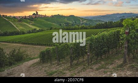 Weinberge, in der Nähe von Alba, Langhe, Piemont, Italien Stockfoto