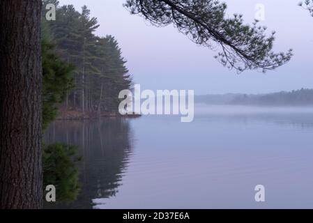 Der frühmorgendliche Nebel auf einem See, dessen Bäume auf dem stillen Wasser im Norden Ontario, Kanada, reflektieren Stockfoto