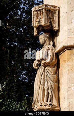 Santa Clara, Lonja de Palma de Mallorca , Sa Llotja, antigua sede del Colegio de Mercaderes, Monumento histórico-artístico, construida por Guillem Sa Stockfoto