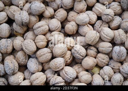 Textur von Walnüssen Ernte. Nahaufnahme der Muttern in der Schale. Stockfoto