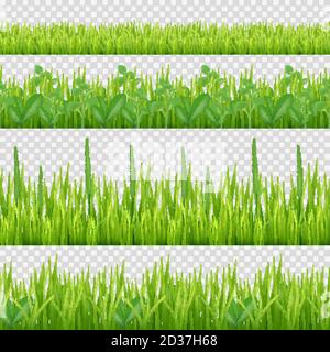 Graskräuter Muster. Natur Symbole Blätter und Kräuter horizontalen Vektor nahtlose Hintergrund Stock Vektor