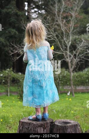 Ein kleines Mädchen in einem blauen Kleid, das auf einem Baumstumpf steht und eine Blume hält. Stockfoto