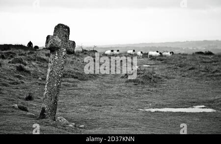 Windy Post Cross Dartmoor Stockfoto