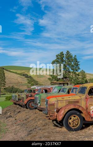 Alte Landmaschinen auf einer Farm im Whitman County in der Palouse, Washington State, USA. Stockfoto