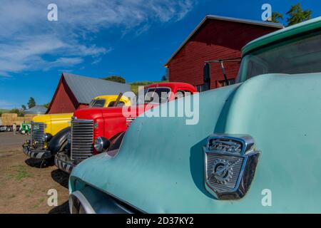 Nahaufnahme eines alten LKW auf einem Bauernhof in Whitman County im Palouse, Washington State, USA. Stockfoto