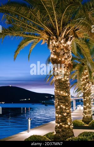 Dattelpalmen an der Küste Montenegros, geschmückt mit Girlanden zu Weihnachten, vor dem Hintergrund des Sonnenuntergangs blauer Himmel in der Nacht. Stockfoto