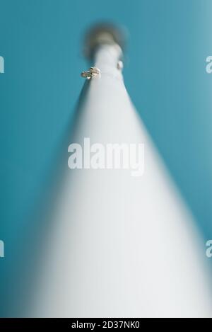 Zwei kleine weiße Schneckenschalen auf einem weißen Pfosten Stockfoto