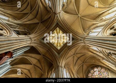 Blick auf die Decke in der Kathedrale von Truro Stockfoto