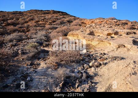 Ocean's Coast View Montana Amarilla Teneriffa Stockfoto