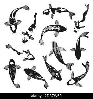 Koi Fisch Silhouetten. Schwarz und weiß Schwimmen Koi Karpfen Fische Zeichnungen Vektor-Illustration, asiatische china oder japanische fische Silhouette Vektorgrafiken Stock Vektor