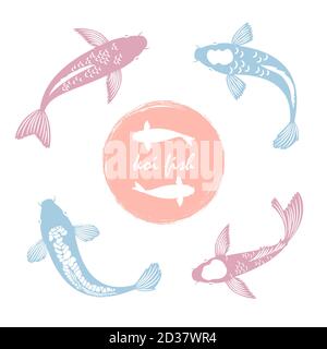 Koi japanischen Fisch Vektor isoliert auf weißem Hintergrund Stock Vektor