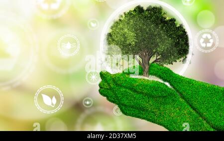 Hände einer Frau mit Textur Gras hält einen Miniaturbaum mit erneuerbaren Energien Symbol. Ökologische Biodiversität im Ökosystemkonzept. Hintergrund als Stockfoto