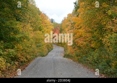 Eine Backroad, die durch Herbstbaumfarben im Killarney Provincial Park, Ontario, Kanada führt. Stockfoto