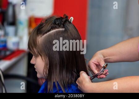 Professionelle weibliche Friseur Schneiden Mädchen Haare im Salon Stockfoto