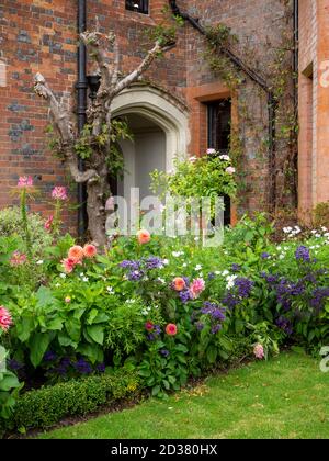 Chenies Manor Gärten im September, gewölbte Tür des Tudor Herrenhauses, mit rosa und pfirsichfarbenen Dahlien, rosa Cleome und blauen Heliotrop. Stockfoto