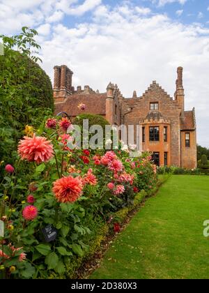 Wunderschöne Chenies Manor Gärten im September umgeben von lachsrosa Dahlien Blüten, 'Belle of Barmera', gekippten Eibenbäumen und Rosa 'Ballerina'. Stockfoto