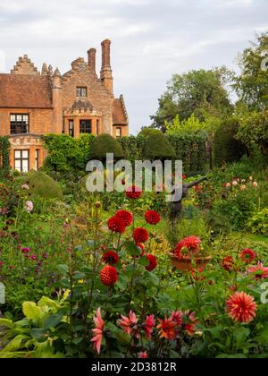 Chenies Manor House in Sun; der versunkene Garten im September mit Alan Biggs Skulptur von 'The Diver', die durch die lebendige Dahlia-Ausstellung reicht. Stockfoto