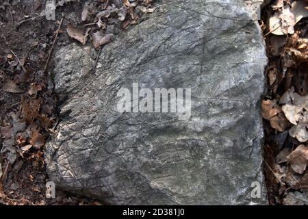 Alien Skin, Elephant Skin, Ryno Skin, Mummy Skin, Hautstruktur, faltige Haut, graue Haut Stockfoto