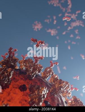 Humane Antikörper (IgG und IgM), die ein Corona-Virus angreifen (SARS-CoV-2, Covid 19). Ein genaues Modell auf Basis wissenschaftlicher Strukturdaten aus dem HVE. Stockfoto